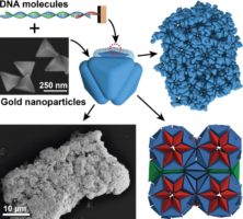MAP Focal Subject Head, Prof. Michael Engel, investigates DNA double Helix structures crystals